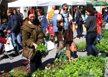 Der Feldkircher Wochenmarkt ist bis auf Weiteres stillgelegt. © B. Koeck