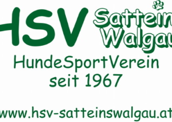 ©https://hsv-satteinswalgau.at/