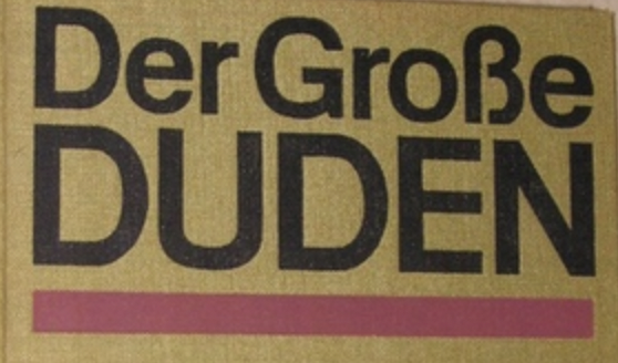 Gendersprache Und Der Duden Oder Die Dudin Gsi News