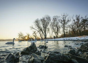 Das erste „Vorarlberger Naturpicknick“ führt am 23. Jänner 2021 zum Birdwatching an den Bodensee.

Copyright: Dietmar Denger/Vorarlberg Tourismus