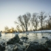 Das erste „Vorarlberger Naturpicknick“ führt am 23. Jänner 2021 zum Birdwatching an den Bodensee.

Copyright: Dietmar Denger/Vorarlberg Tourismus