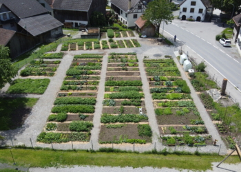Der Schwarzbachgarta liegt im Zentrum von Bludesch.