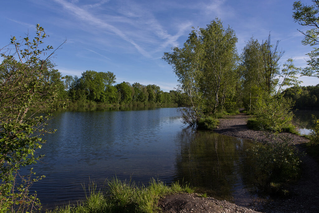 Alter Rhein bei Diepoldsau