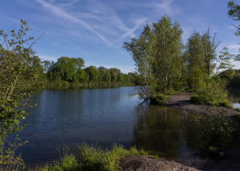 Alter Rhein bei Diepoldsau