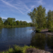 Alter Rhein bei Diepoldsau