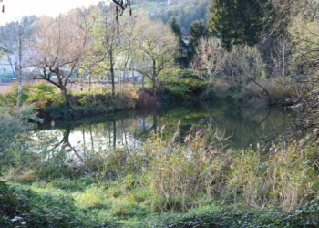 Foto: Stadt Feldkirch
