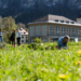 Neues Klima- und Umweltleitbild © Stadtmarketing und Tourismus Feldkirch