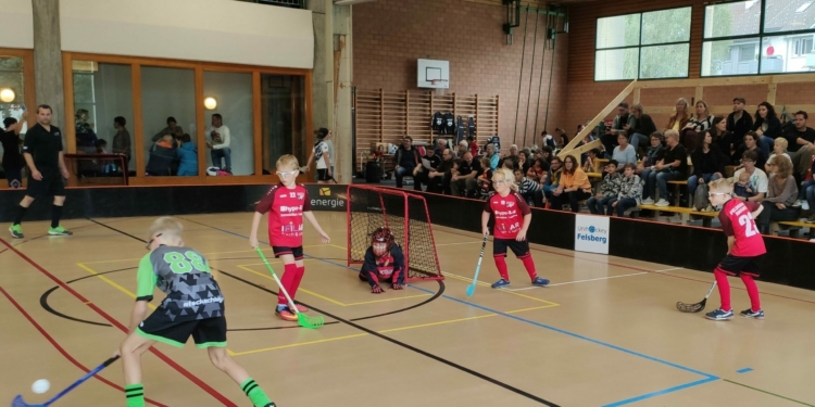 Bild: Feldkirch Knights