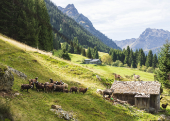 Quelle: Montafon Tourismus, Fotograf: Christian Hirschmann