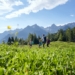 Wandern in Brand. Bild: Alex Kaiser