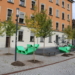 Baumpflanzungen im Gymnasiumhof. © Stadt Feldkirch