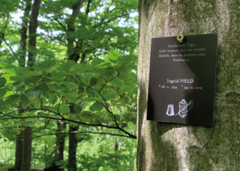 Familienbaum mit Namenstafel. Fotos: Klosterwald