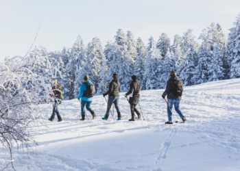 Start der Exkursionsreihe ist eine Wanderung am Bödele oberhalb von Dornbirn. Foto: Büro Magma