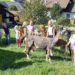 Foto: Gemeinde Altach