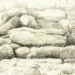 Albrecht Herbert