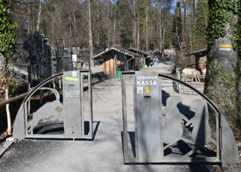 Modernisierung des Feldkircher Wildparks. Foto: Stadt Feldkirch