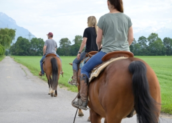 Reiten in Rankweil © Marktgemeinde Rankweil