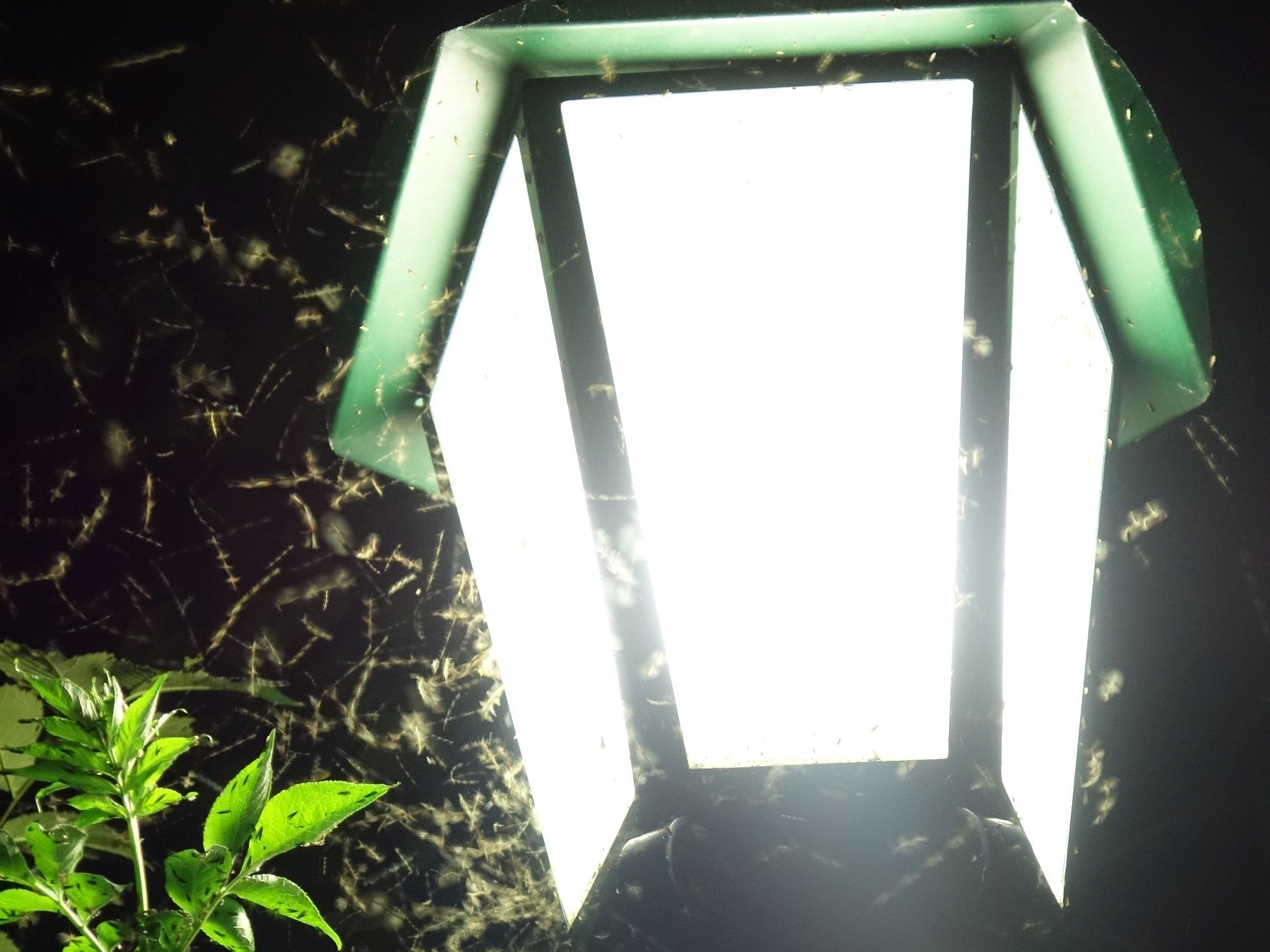 Lichtverschmutzung – Die Schattenseiten des Kunstlichts