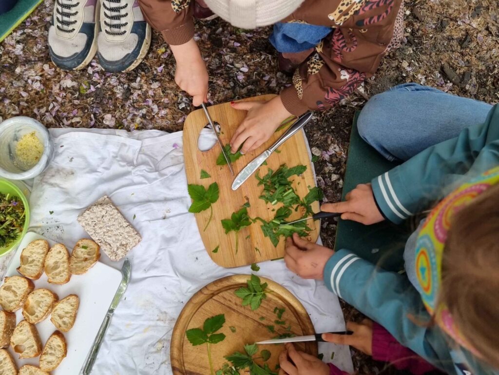Wildkräuter Abenteuer: Workshop für Kinder mit Stefanie Kaufmann