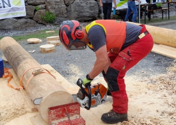 Symboldbild: Stadt Feldkirch