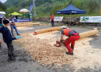 Landesmeisterschaft Forstarbeiter © Stadt Feldkirch