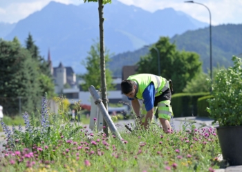 Naturnahe Begrünung, gezielte Entsieglung und die Umgestaltung sogenannter Hitzeinseln sind ein Teil der Klimastrategie Rankweil 2040. © Marktgemeinde Rankweil/Bernd Oswald