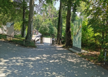 Mit der Öffnung der Ardetzenbergstraße ist der Wildpark wieder regulär erreichbar. (Foto: Stadt Feldkirch)