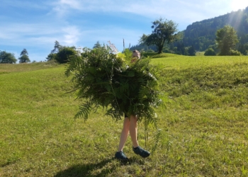 Vielfaltertag am Ludescherberg. Foto: RM ESG/Inatura