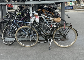 Symbolbild: Bandi Koeck