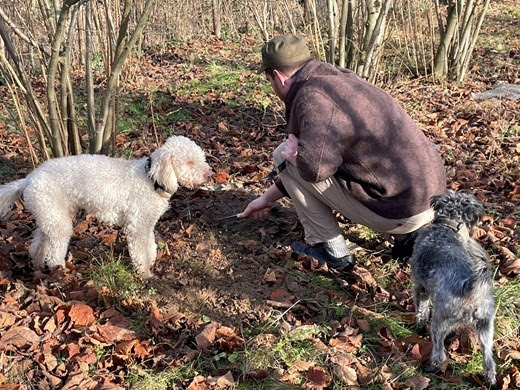 Foto: Ahrtal Marketing