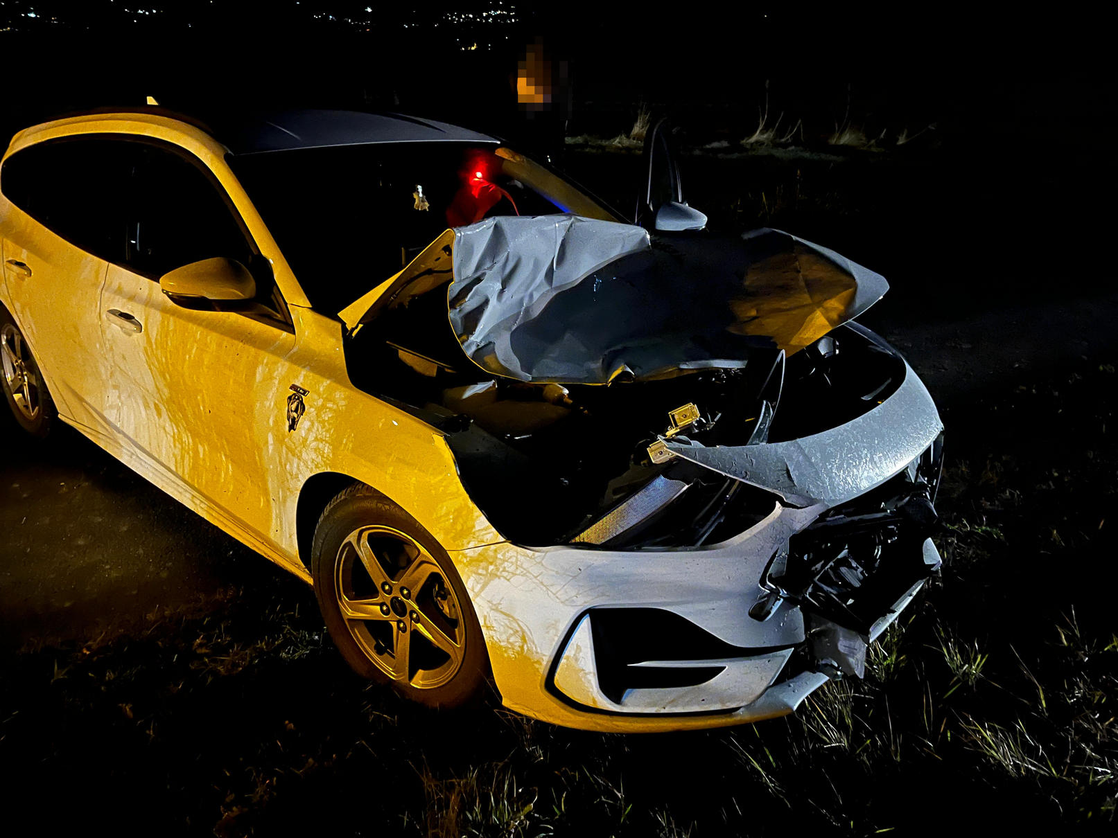 Wildunfall. Bild: Landespolizei