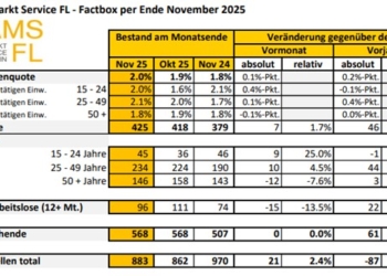 Lage auf dem Arbeitsmarkt im November 2025. Bildrechte: Fürstentum Liechtenstein