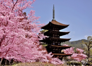 Die fünfstöckigen Pagode des Rurikō-ji-Tempels gilt als eine der schönsten in ganz Japan. © Setouchi DMO