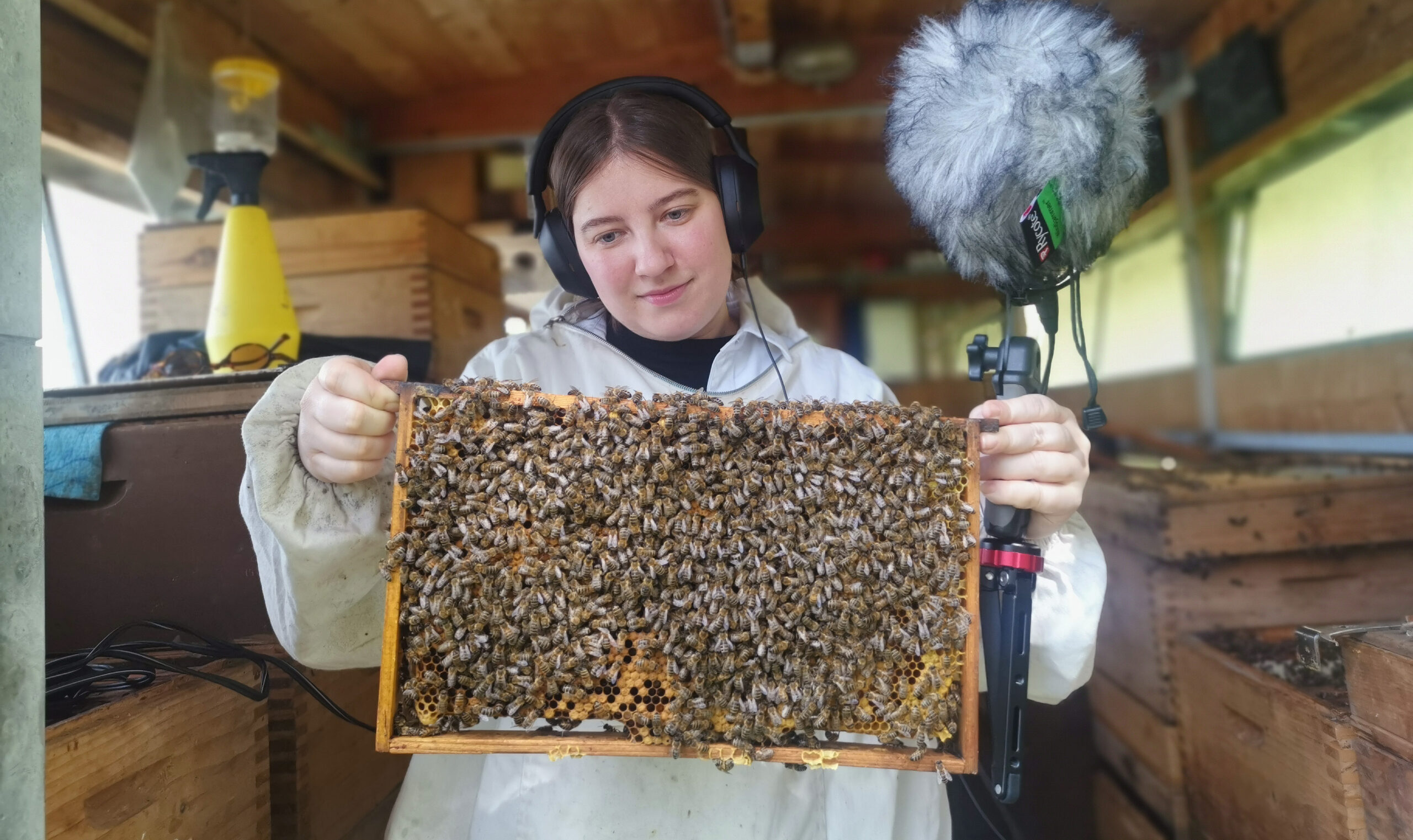 „FELD 200“ ist eines der Siegerprojekte des Open Calls zum Stadtjubiläum Feldkirch einhundert. (Foto: Matthias Scheier)