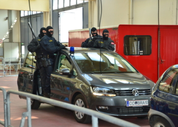 Symbolbild Cobra. Foto: Land Vorarlberg/Werner Micheli