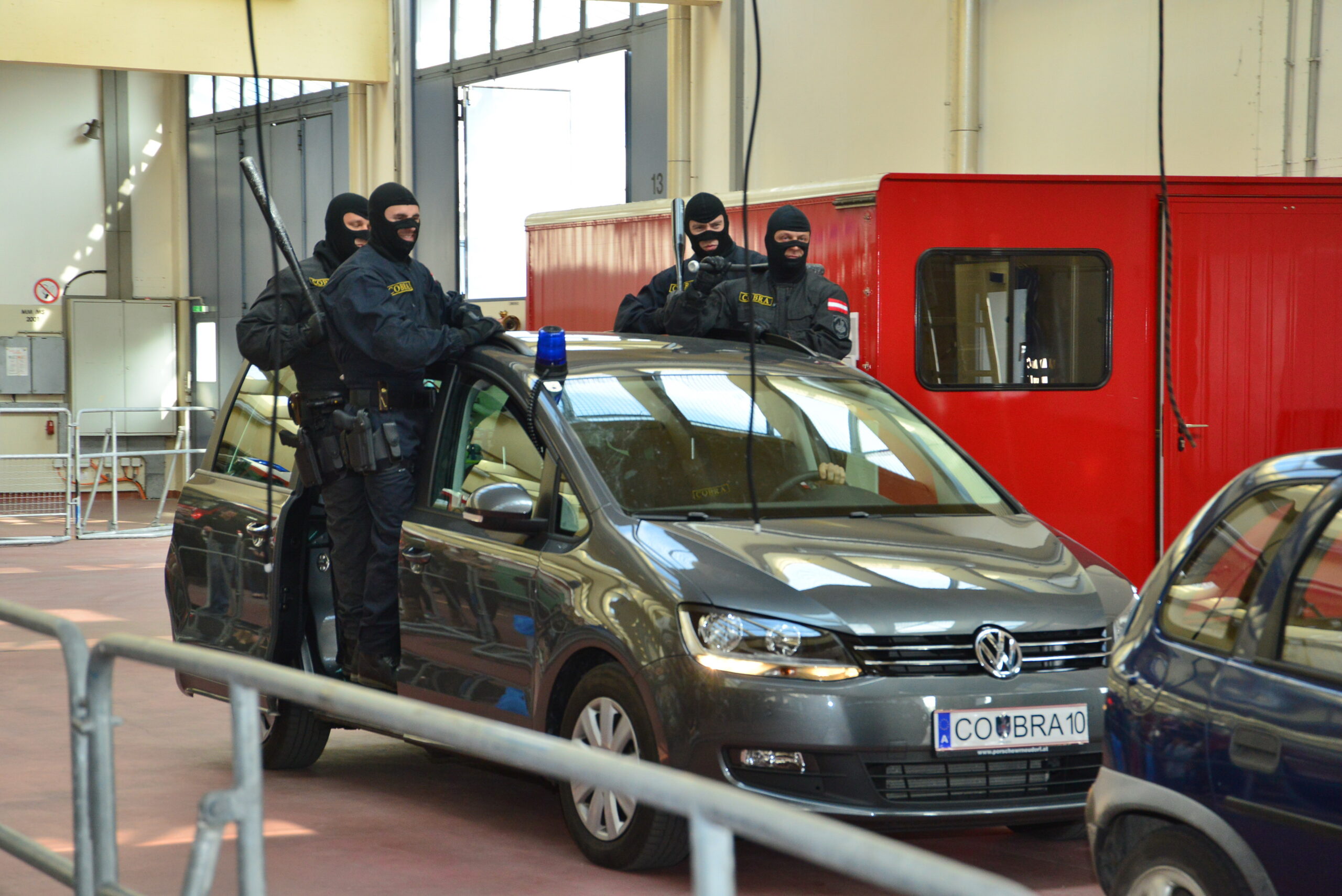 Symbolbild Cobra. Foto: Land Vorarlberg/Werner Micheli