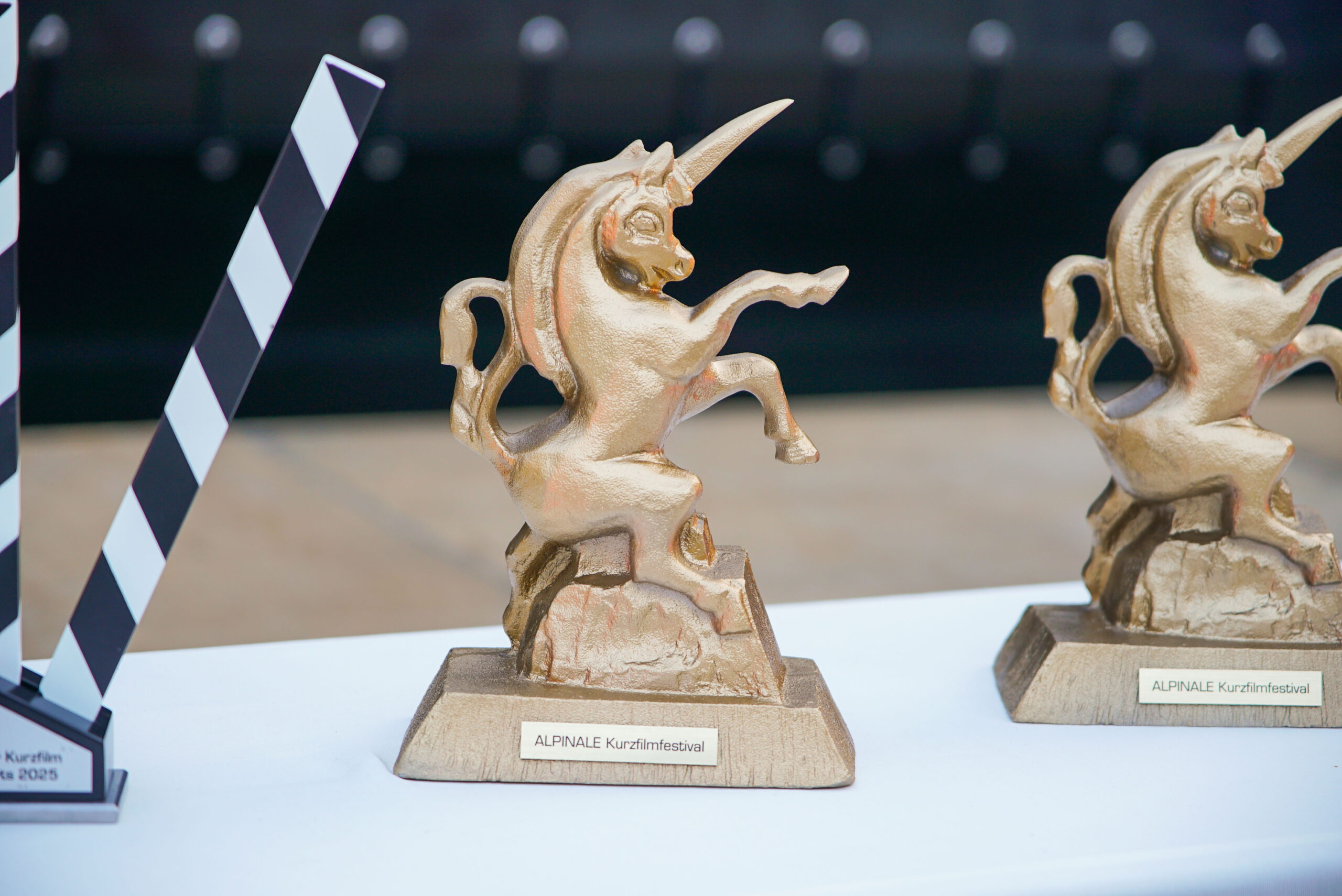 Alpinale auf Tour 2026. Foto: Alpinale/Lara Smith