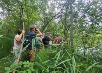 Die Klimaschmiede lädt dazu ein, Natur bewusst zu erleben. © Marktgemeinde Rankweil/Melitta Gassner