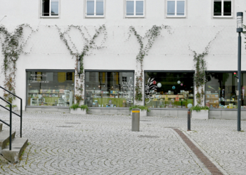 Die Förderung für Fassaden- und Dachbegrünung wurde verlängert. (Foto: Stadt Feldkirch)