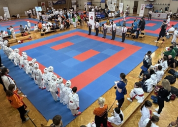 Karate vom Feinsten gab es gestern in Lustenau. Fotos: Bandi R. Koeck