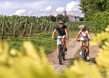 Quelle: ERGO Group/Canva