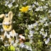 Osterhase im Gras. Symbolbild: Gsi.News