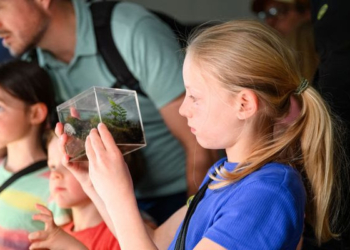 Forschung zum Anfassen: Die Neugier der Kinder wurde geweckt.
Bildrechte: FHV/Rhomberg