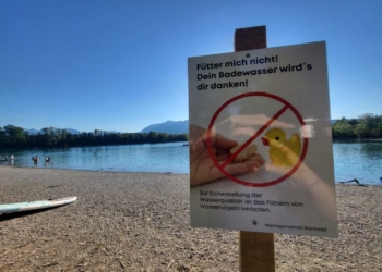 „Bitte keine Enten füttern“ lautet der Appell der Marktgemeinde Rankweil an Badegäste bei den Paspelsseen. © Marktgemeinde Rankweil