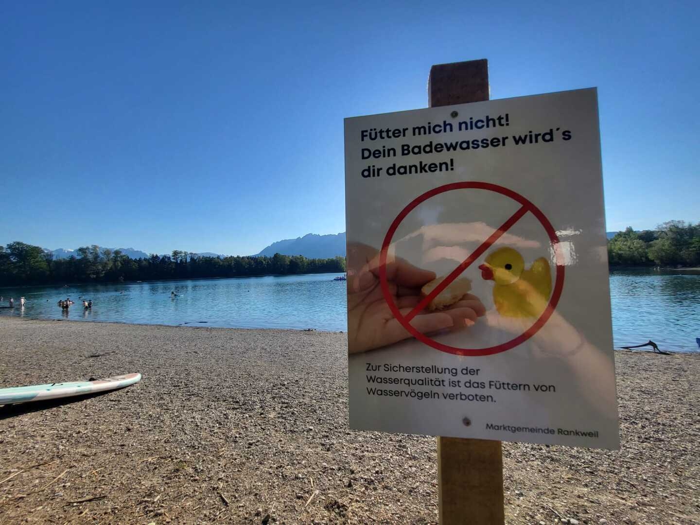 „Bitte keine Enten füttern“ lautet der Appell der Marktgemeinde Rankweil an Badegäste bei den Paspelsseen. © Marktgemeinde Rankweil