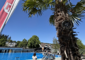Im Schwimmbad Felsenau gibt es neu Affen auf Palmen. Foto: Gsi.News