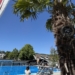 Im Schwimmbad Felsenau gibt es neu Affen auf Palmen. Foto: Gsi.News