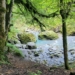 Bürser Schlucht. Foto: Alpenverein