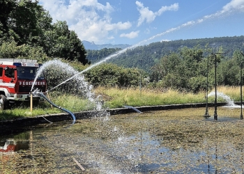 Sofortmaßnahme Tisner Weiher © Stadt Feldkirch