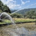 Sofortmaßnahme Tisner Weiher © Stadt Feldkirch